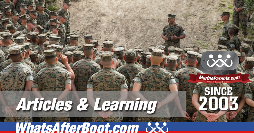 Knowledge is Power! Learn about What comes after Boot Camp