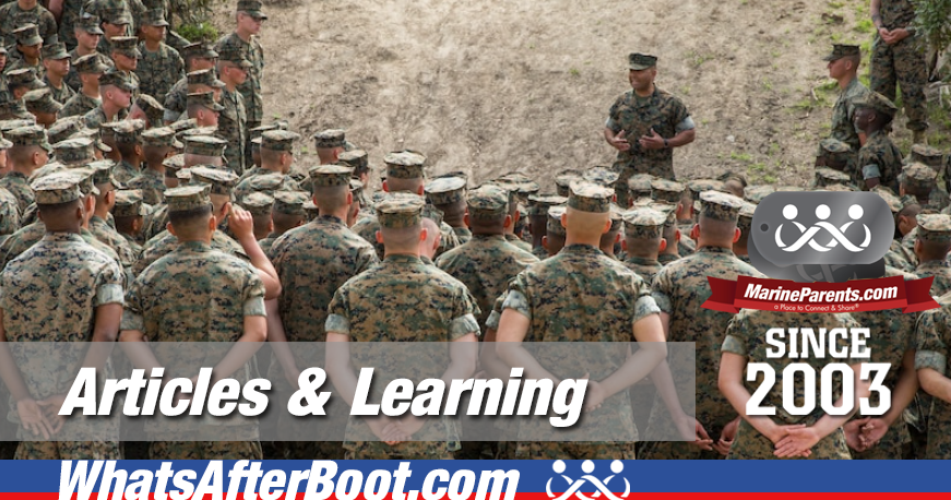 Whats After Boot: ARTICLES & LEARNING
